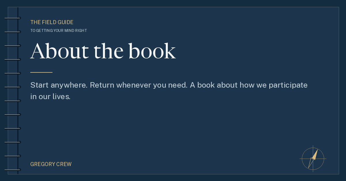 About the book — share card