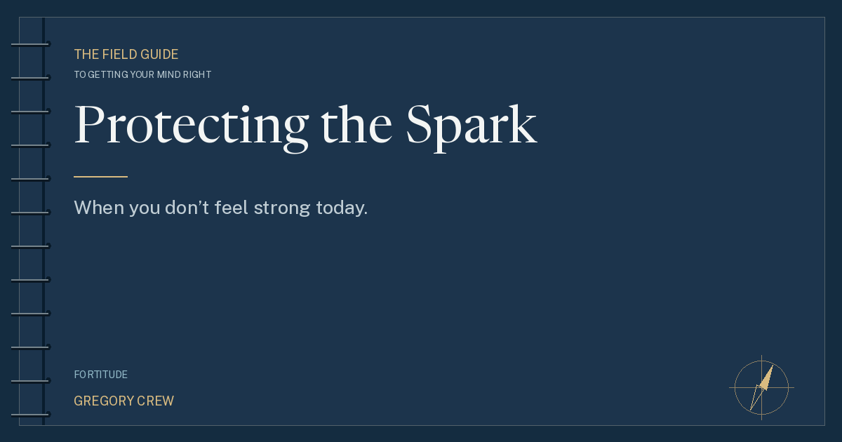 Protecting the Spark — share card